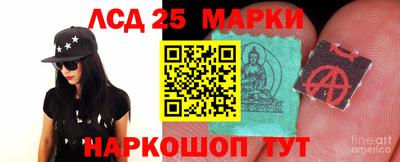 амф Кингисепп