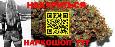 амф Кингисепп