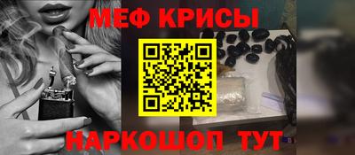 амф Кингисепп
