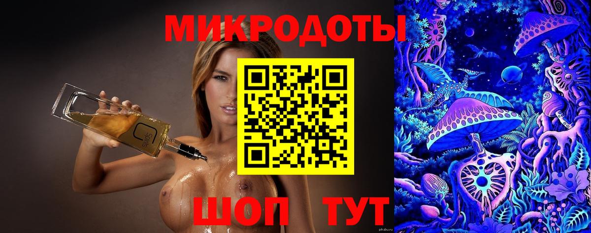 Галлюциногенные грибы Psilocybe Кострома