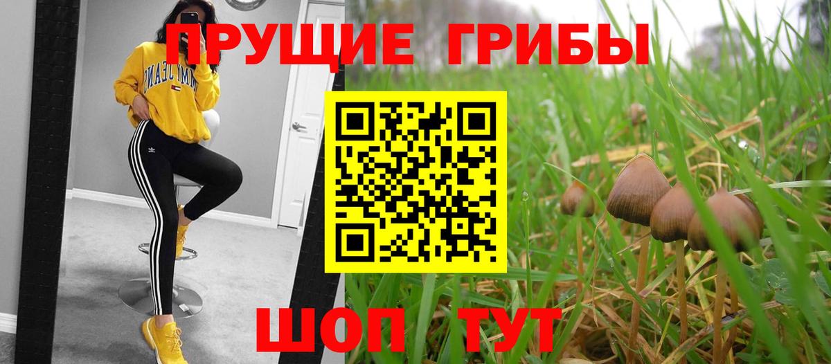 Галлюциногенные грибы MAGIC MUSHROOMS  Псилоцибиновые грибы Psilocybine cubensis  Вход с VPN  Кострома 